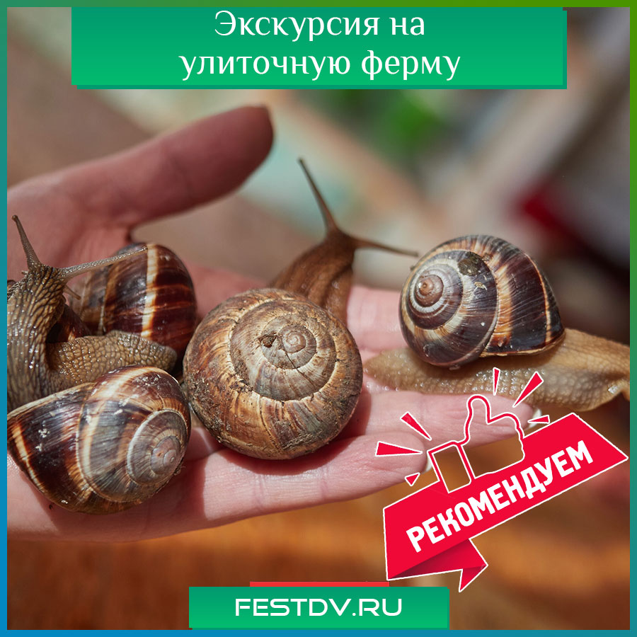 Экскурсия на улиточную ферму