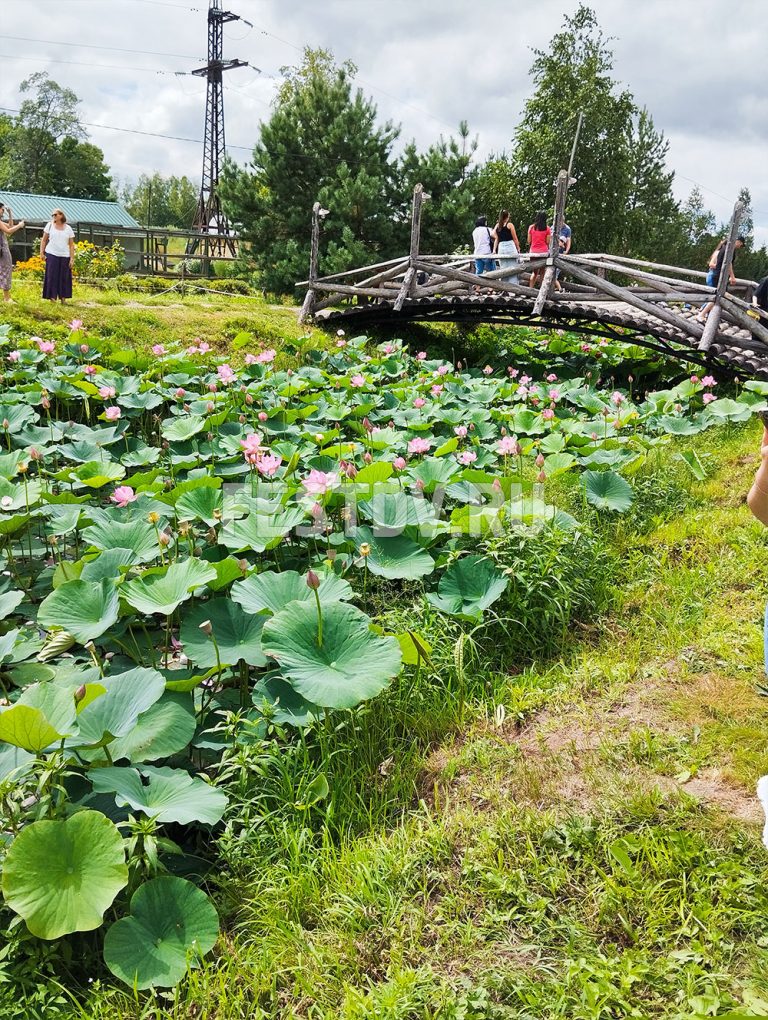 База Хуторок, Гаровка-1, Хабаровск