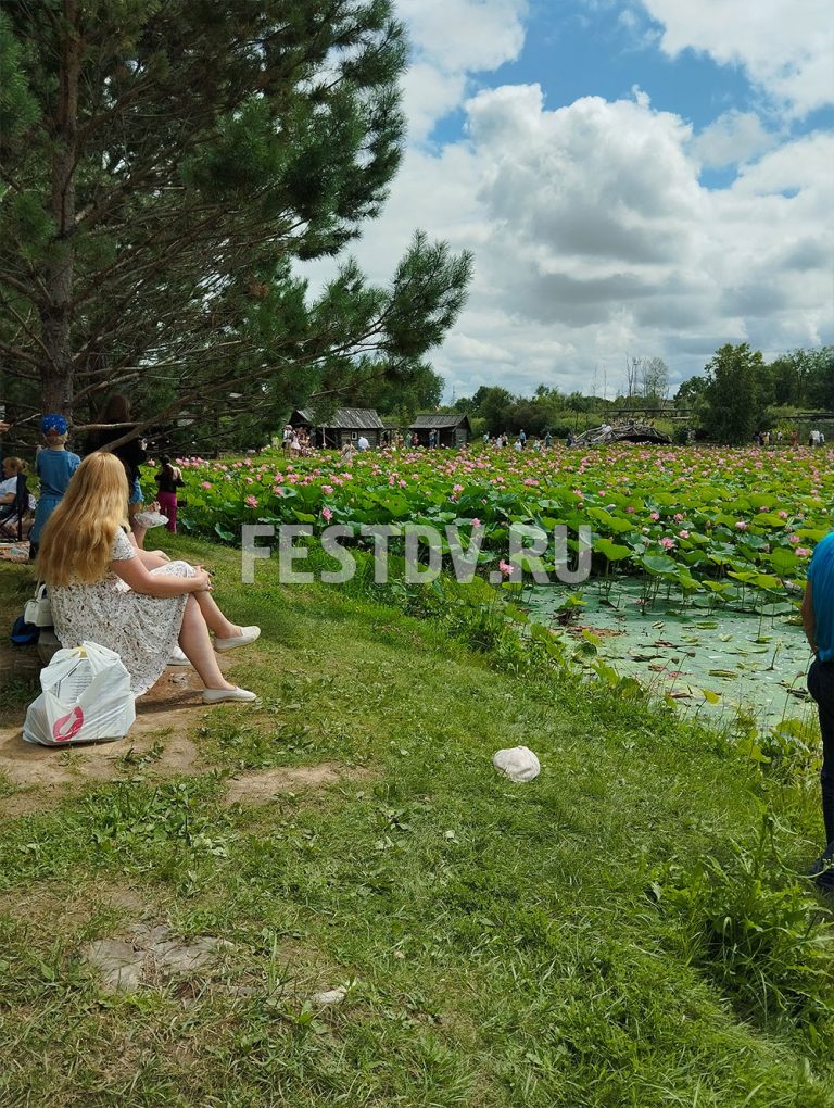 База Хуторок, Гаровка-1, Хабаровск