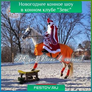 Новогоднее конное шоу “В ритме нового года”