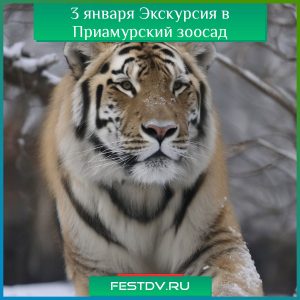 3 января Экскурсия в Приамурский зоосад