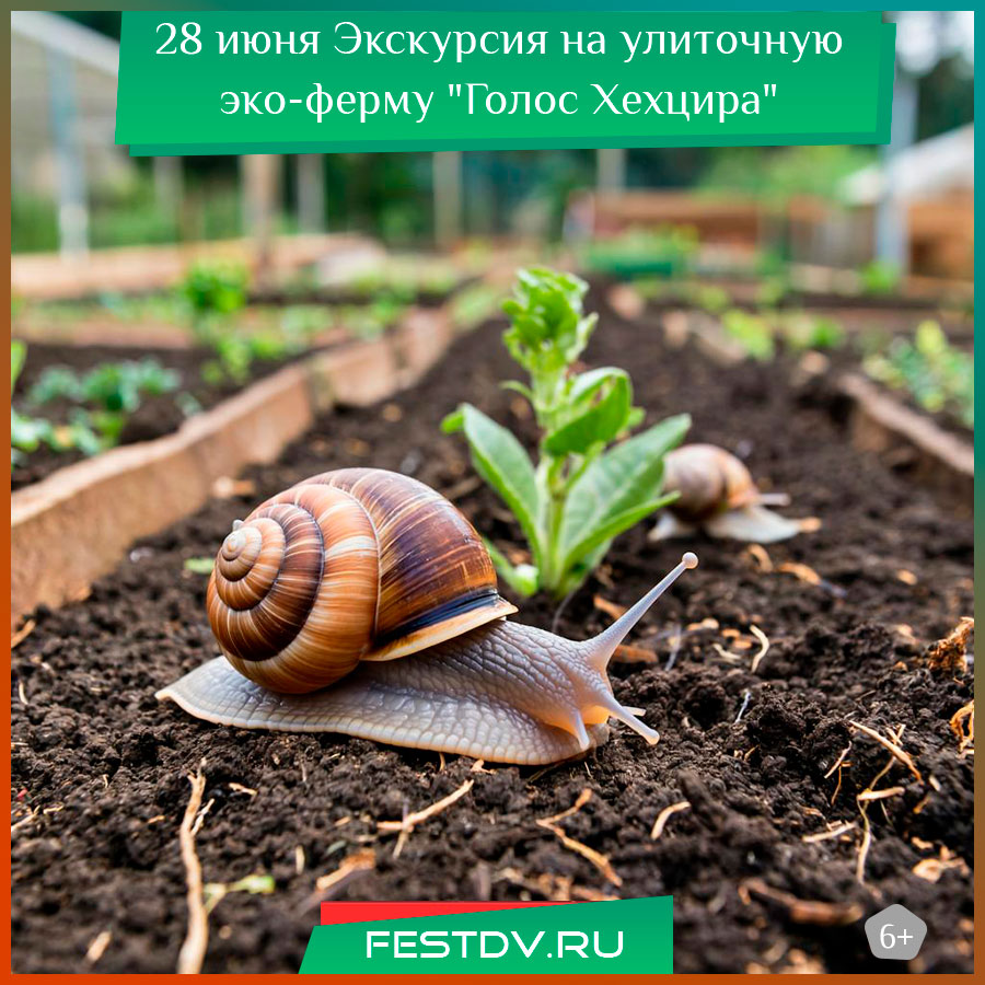 Экскурсия на улиточную эко-ферму "Голос Хехцира"