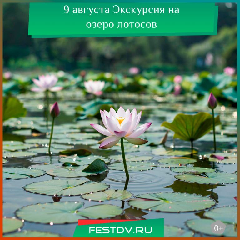 9 августа Экскурсия на озеро лотосов в Хабаровске 0+