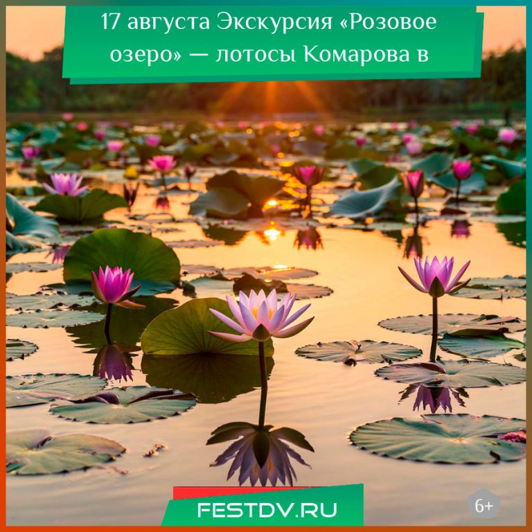17 августа Экскурсия «Розовое озеро» к лотосам Комарова 6+