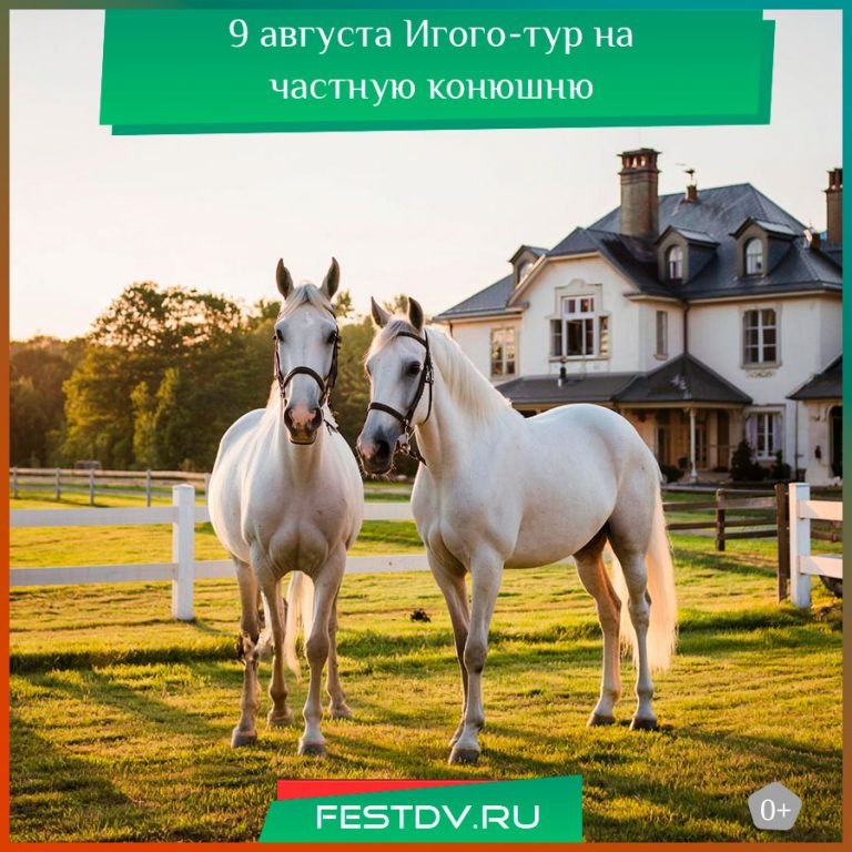 9 августа Игого-тур на частную конюшню в Зоевку 0+