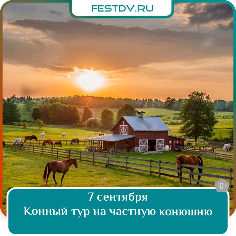 7 сентября Игого-тур на частную конюшню в Зоевке 0+