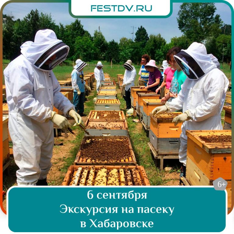 Экскурсия на пасеку в Хабаровске
