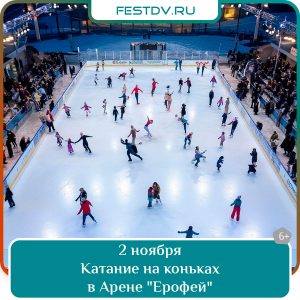 2 ноября Катание на коньках в Арене «Ерофей» 6+