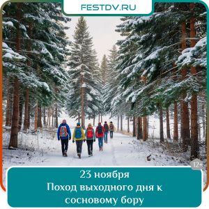 23 ноября Поход выходного дня к сосновому бору 12+