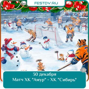 30 декабря Матч ХК «Амур» – ХК «Сибирь» в Платинум Арене 0+