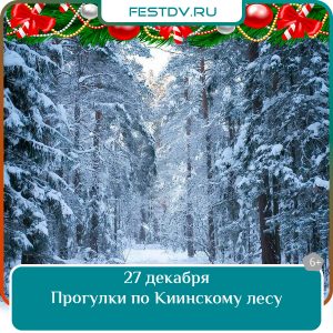 27 декабря Прогулки по Киинскому лесу 6+