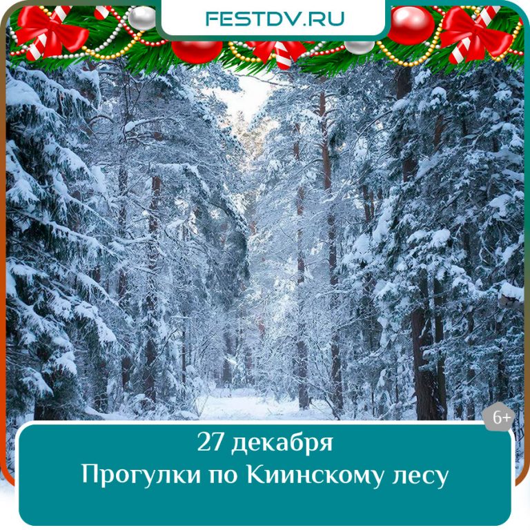 27 декабря Прогулки по Киинскому лесу 6+