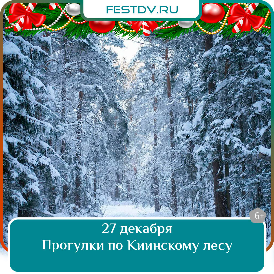 Прогулки по Киинскому лесу