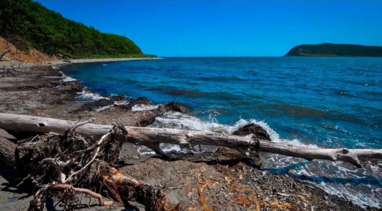 photo_2026-04-23_07-05-11