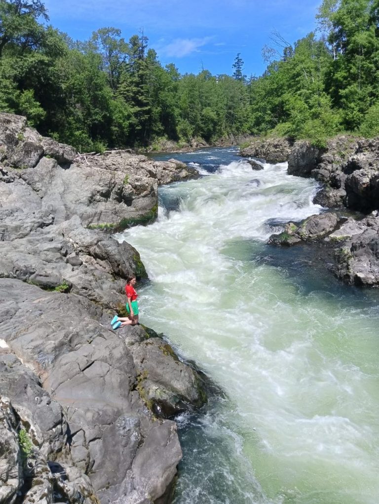 photo_2026-04-23_07-06-08