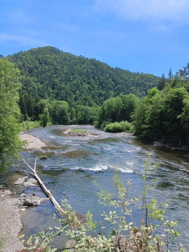 photo_2026-04-23_07-06-26