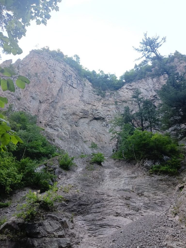 photo_2026-04-23_07-07-08