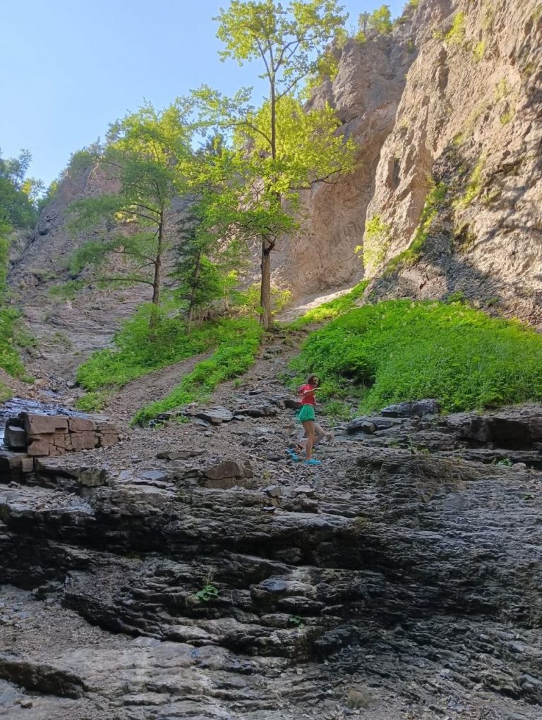 photo_2026-04-23_07-07-43