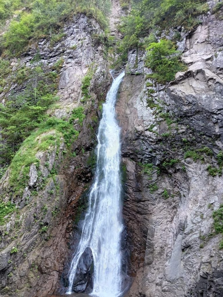 photo_2026-04-23_07-08-09