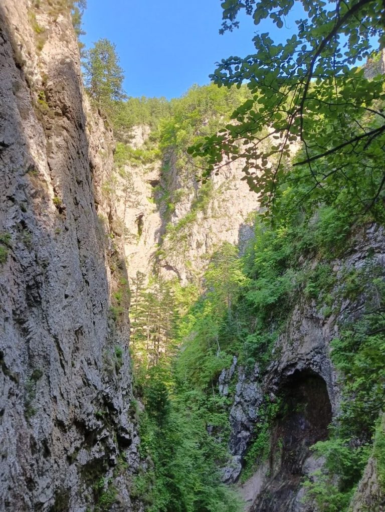 photo_2026-04-23_07-08-43